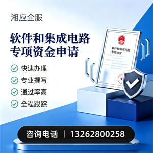 广西软件和集成电路专项资金申报服务