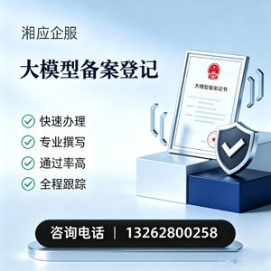 广西大模型备案申报服务