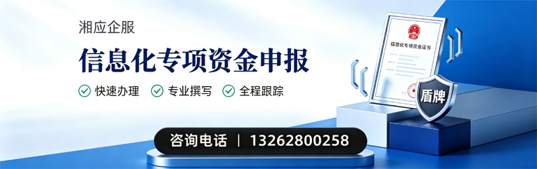 广西信息化专项资金申报服务