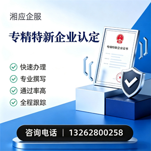 广西专精特新企业申报服务