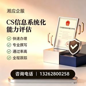 广西CS信息系统化能力评估申报服务