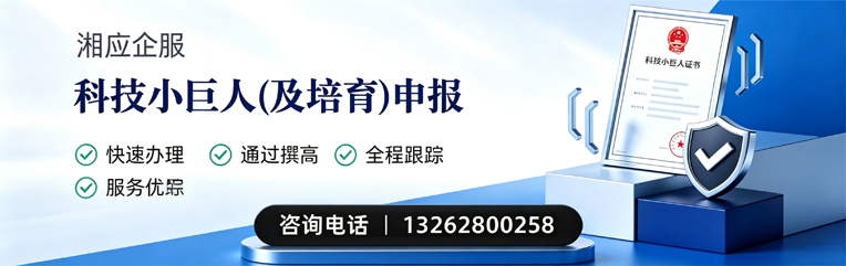 广西科技小巨人及培育企业申报服务