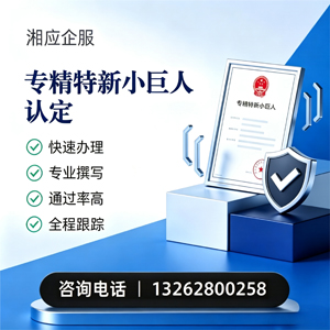 广西专精特新小巨人申报服务