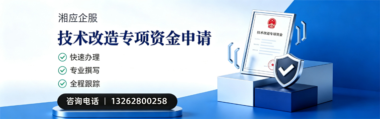 广西技术改造专项资金申报服务