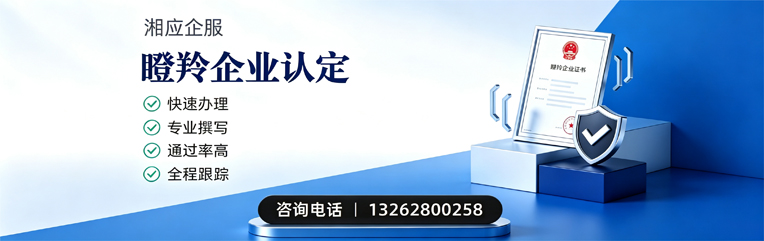 广西瞪羚企业认定申报服务