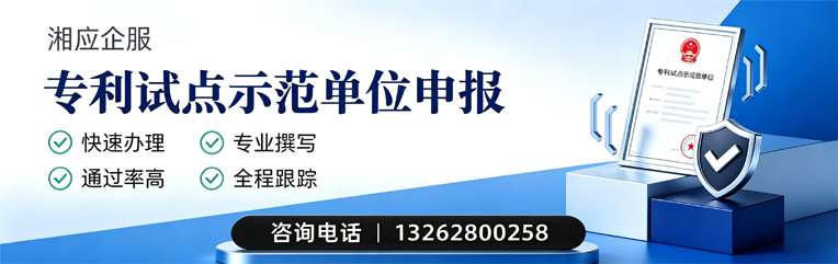 广西专利试点示范单位申报服务