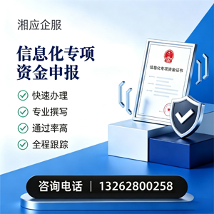 广西信息化专项资金申报服务