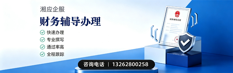 广西财务辅导申请服务