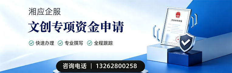 广西文创专项资金申报服务