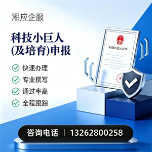 广西科技小巨人及培育企业申报服务