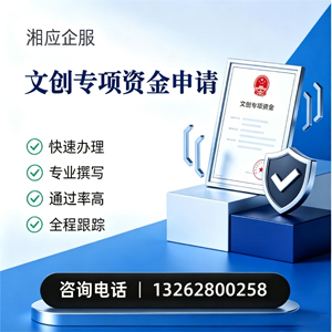 广西文创专项资金申报服务