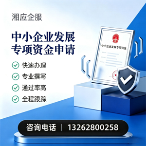 广西中小企业发展专项资金申报服务