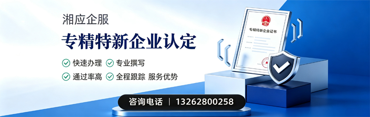 广西专精特新企业申报服务