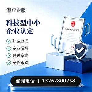 广西科技型中小企业认定申报服务