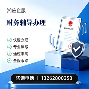 广西财务辅导申请服务
