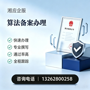 广西算法备案申报服务