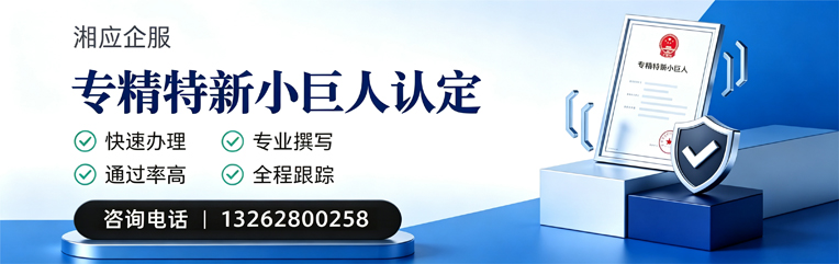 广西专精特新小巨人申报服务